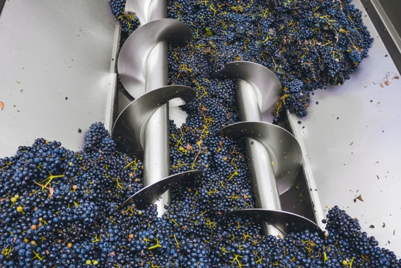 Transportery ślimakowe